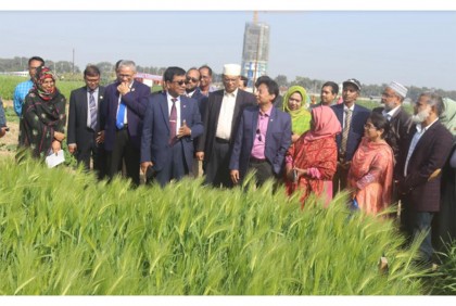 বারির কৃষিতত্ত্ব বিভাগের গবেষণা কার্যক্রমের উপর মাঠ দিবস অনুষ্ঠিত
