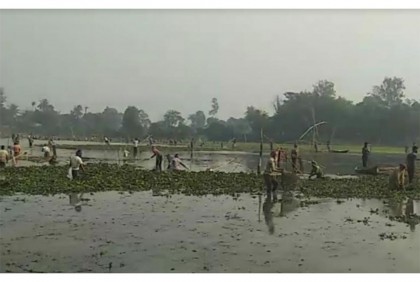 কালিয়াকৈরে মাছ ধরার উৎসব