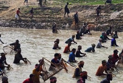 নাটোরে মাছ ধরার উৎসব