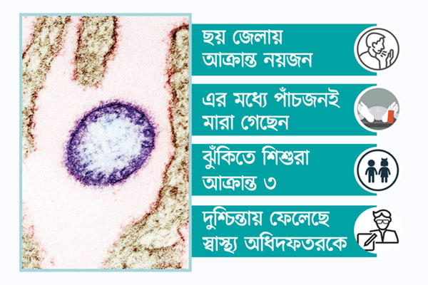 এলোমেলো ছড়াচ্ছে নিপাহ