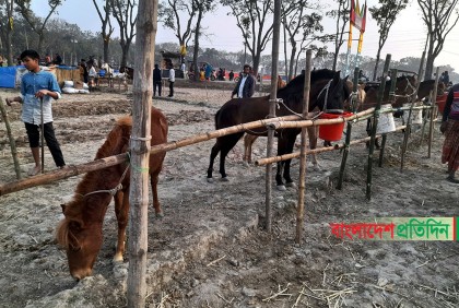 ঐতিহ্যবাহী চেরাডাঙ্গী মেলায় জমজমাট ঘোড়ার হাট