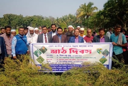 বরিশালে কৃষকদের নিয়ে মাঠ দিবস