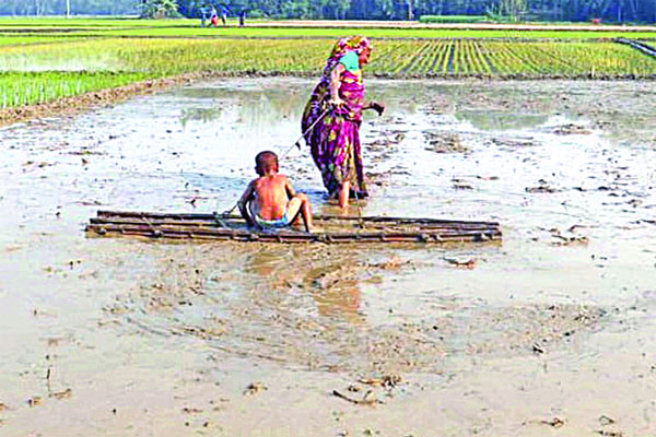 জীবনযুদ্ধ