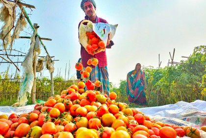 কুমিল্লার মাঠ মাতাচ্ছে ‘বাহুবলী’