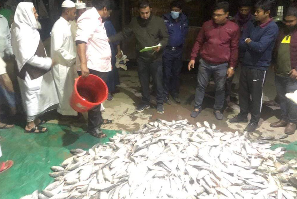 নোয়াখালীতে ১০ মণ জাটকা ইলিশ জব্দ