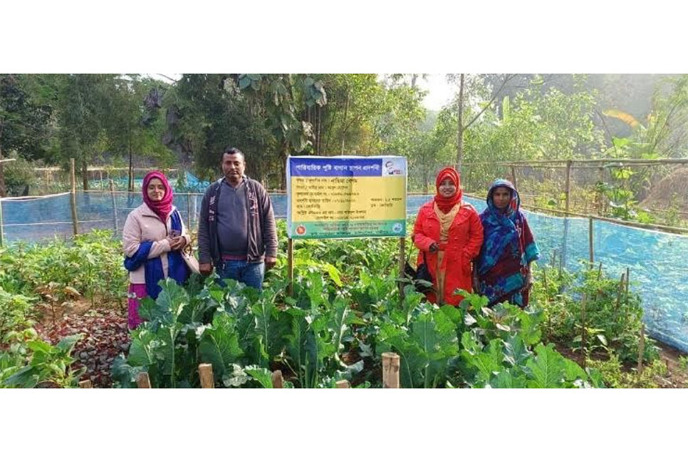 কালিয়াকৈরে জনপ্রিয় হয়ে উঠেছে পারিবারিক পুষ্টি বাগান