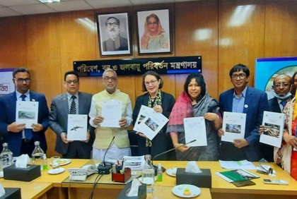 হাঙ্গর ও শাপলাপাতা মাছ সংরক্ষণ করা হবে: বন মন্ত্রী