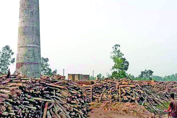 এক ইউনিয়নেই ৫২ অবৈধ ইটভাটা