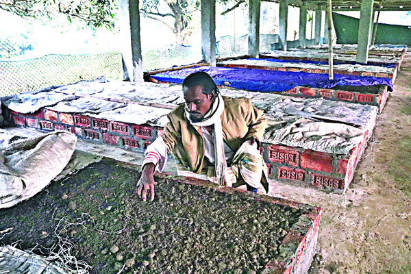 এক চা দোকানির ভাগ্যবদলের কাহিনি
