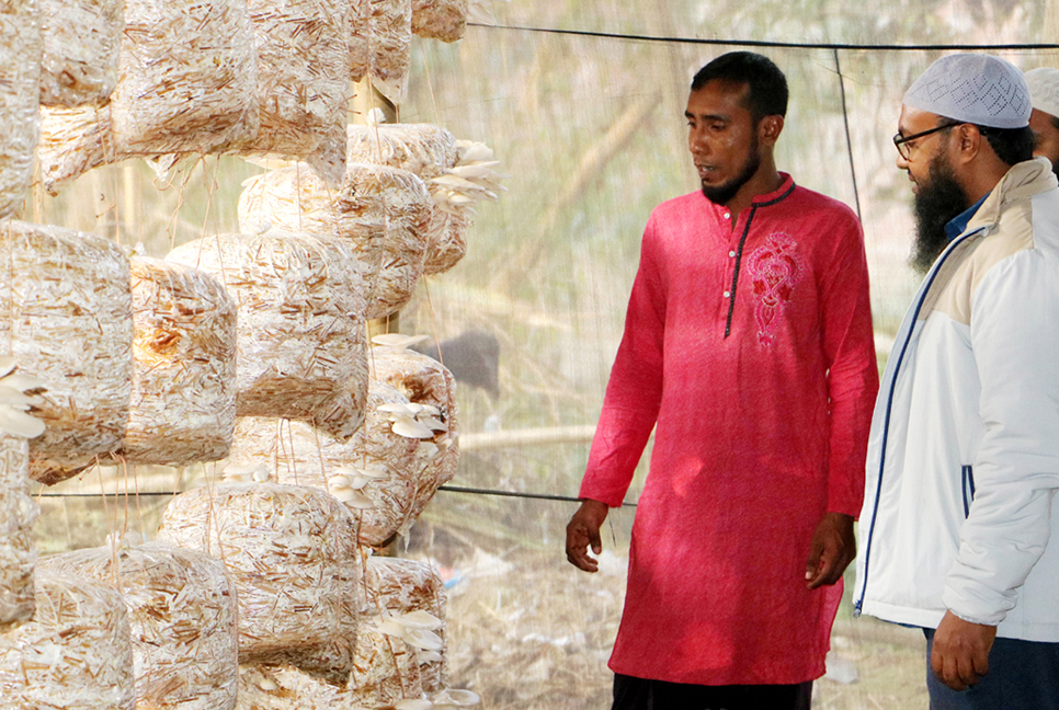 ইউটিউব দেখে নওগাঁয় মাশরুম চাষ