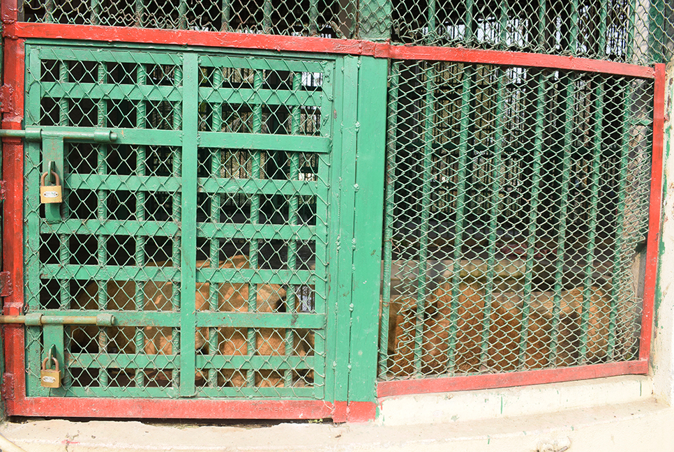 বনিবনা নেই বর্ষা-বাদশার 
