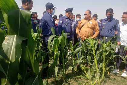 রাজবাড়ীতে শিশুর মরদেহ উদ্ধার