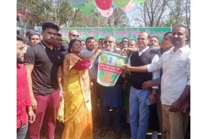 পাংশায় ক্রিকেট টুর্নামেন্ট উদ্বোধন