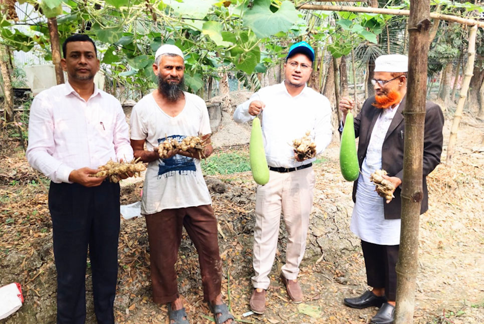 ভাসমান বেডে মসলা ও সবজি চাষ