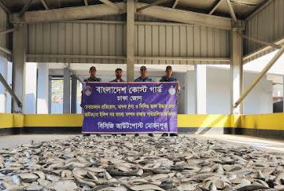 চাঁদপুরে ২ হাজার কেজি জাটকা জব্দ 