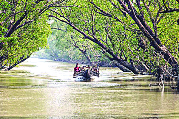 আয়তন হারিয়েছে ৪৫১ বর্গকিলোমিটার