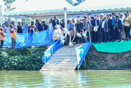 হাতিরঝিলে ৩০০ হাঁস অবমুক্ত, দেখভালের জন্য কর্মী নিয়োগ