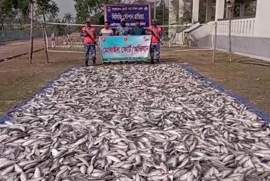 হাতিয়াতে ১০০ মণ জাটকা জব্দ