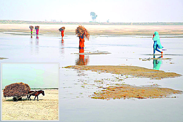 মরে যাচ্ছে ভরা নদী