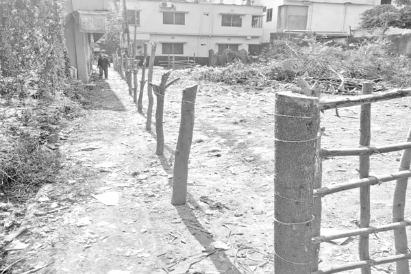 শত বছরের রাস্তায় বেড়া ভোগান্তি ৩৫ পরিবারের