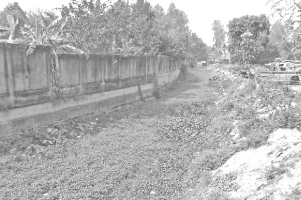 বামনডাঙ্গা নদী এখন নালা