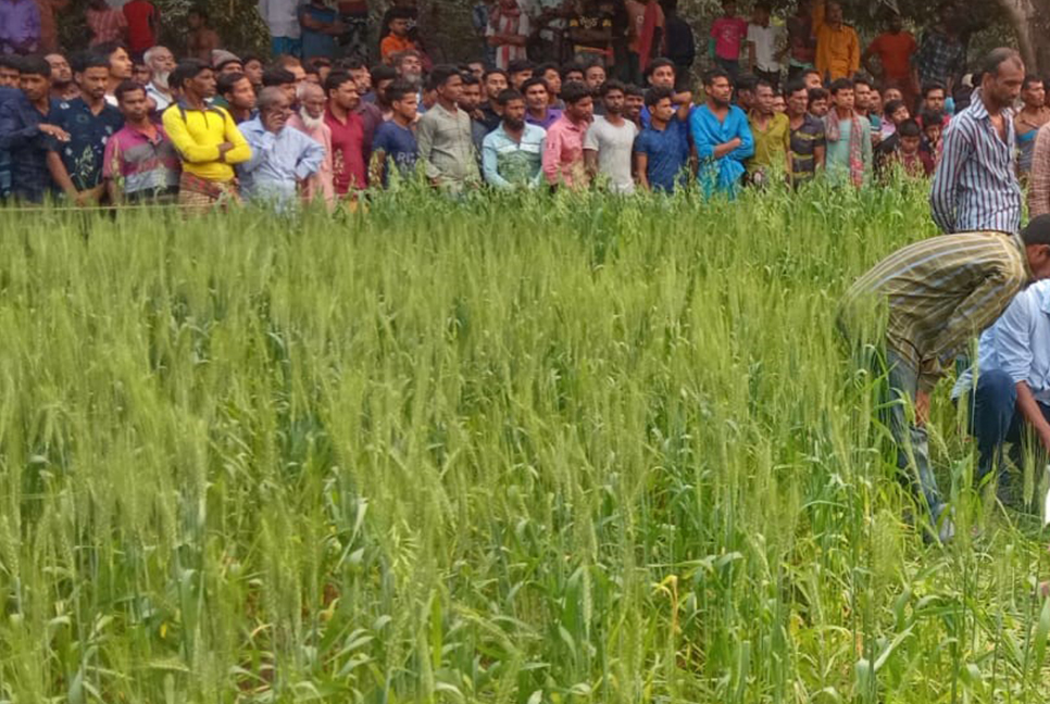 মেহেরপুরে অজ্ঞাত নারীর মরদেহ উদ্ধার