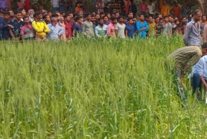 মেহেরপুরে অজ্ঞাত নারীর মরদেহ উদ্ধার