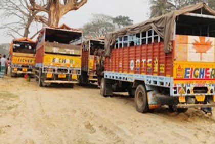 বেনাপোল বন্দর দিয়ে ভারতীয় মহিষ আমদানি