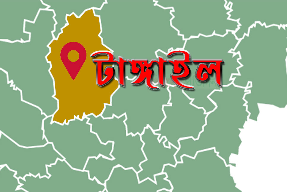 সখীপুরে তিন দিনব্যাপী বই মেলা 