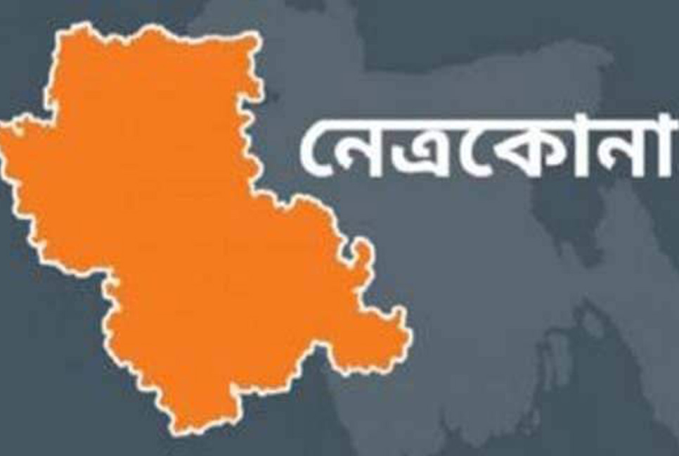 গাছ কাটা নিয়ে দুই প্রতিবেশীর মারামারি, আহত ১০