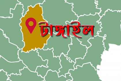 সখীপুরে তিন দিনব্যাপী বই মেলা 
