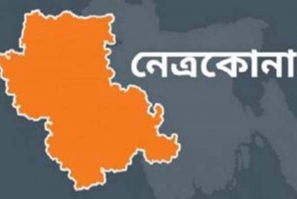 গাছ কাটা নিয়ে দুই প্রতিবেশীর মারামারি, আহত ১০