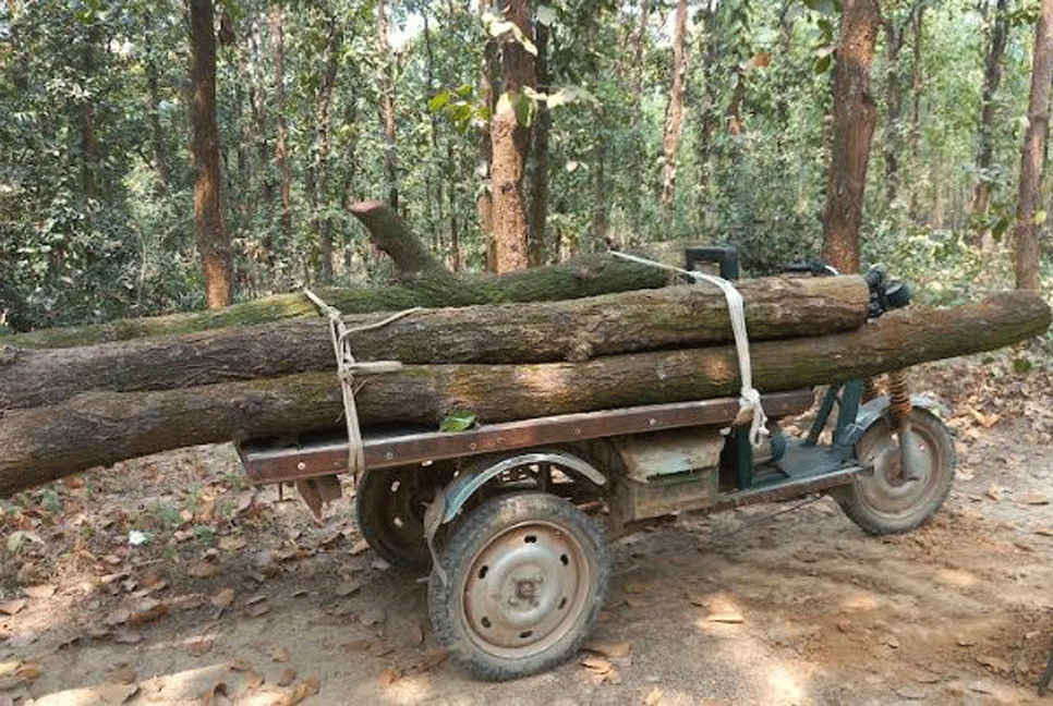 কালিয়াকৈরে গজারী বল্লীসহ একজন আটক