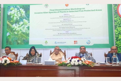 ৫টি রক্ষিত এলাকায় ১৭টি আগ্রাসী প্রজাতির উদ্ভিদ চিহ্নিত : পরিবেশমন্ত্রী 