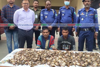 ফাঁদ পেতে পাখি শিকার, বাবা-ছেলের কারাদণ্ড