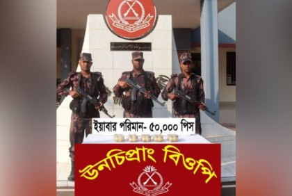 লবণ মাঠে চোরাকারবারিদের ফেলে যাওয়া পোটলা থেকে ৫০ হাজার ইয়াবা উদ্ধার
