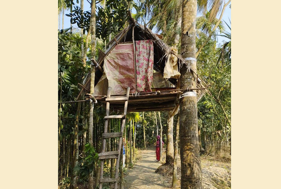 পুলিশকে পিটিয়ে মাদক ব্যবসায়ীকে ছিনিয়ে নিল সহযোগিরা


