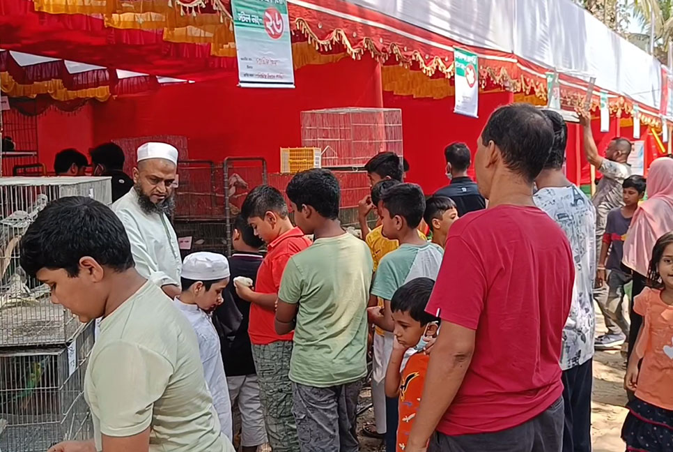 ব্রাহ্মণবাড়িয়ায় প্রাণিসম্পদ প্রদর্শনী অনুষ্ঠিত