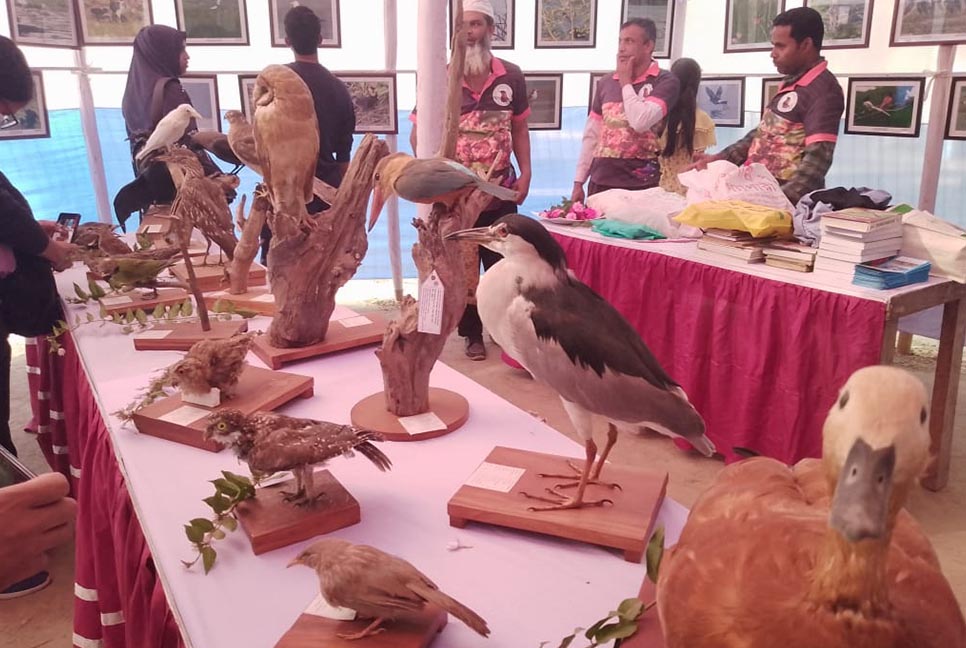 রাবিতে পাখি সংরক্ষণে ব্যতিক্রমী মেলা 