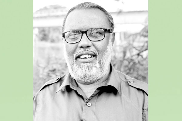 অ্যাভোকাডোর বাণিজ্যিক চাষের আগে প্রয়োজন সার্বিক গবেষণা