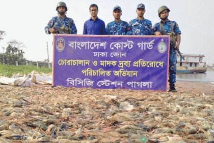 বিষাক্ত জেলি পুশ, সাড়ে ৩ হাজার কেজি চিংড়ি জব্দ