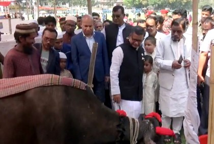 শেখ হাসিনার নেতৃত্বে দেশে কৃষিখাতে বিপ্লব হয়েছে: বিমান প্রতিমন্ত্রী