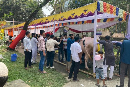 নেত্রকোনায় প্রাণিসম্পদ প্রদর্শনী অনুষ্ঠিত