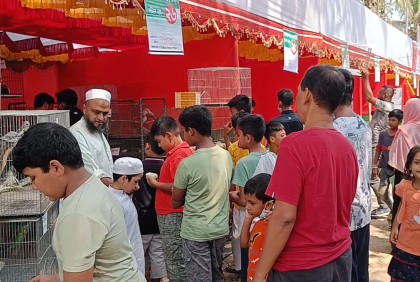 ব্রাহ্মণবাড়িয়ায় প্রাণিসম্পদ প্রদর্শনী অনুষ্ঠিত
