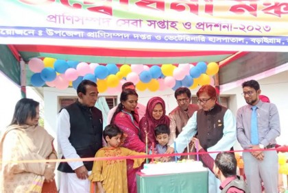 বড়াইগ্রামে প্রাণিসম্পদ প্রদর্শনী ও সেবা সপ্তাহ উদ্বোধন 