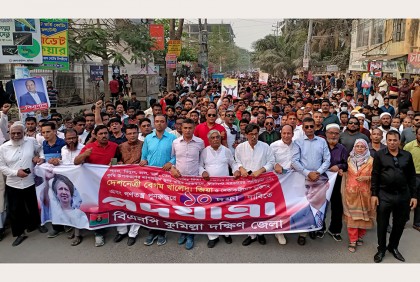 এই সরকারের পতন ছাড়া কেউ ঘরে ফিরব না : বুলু