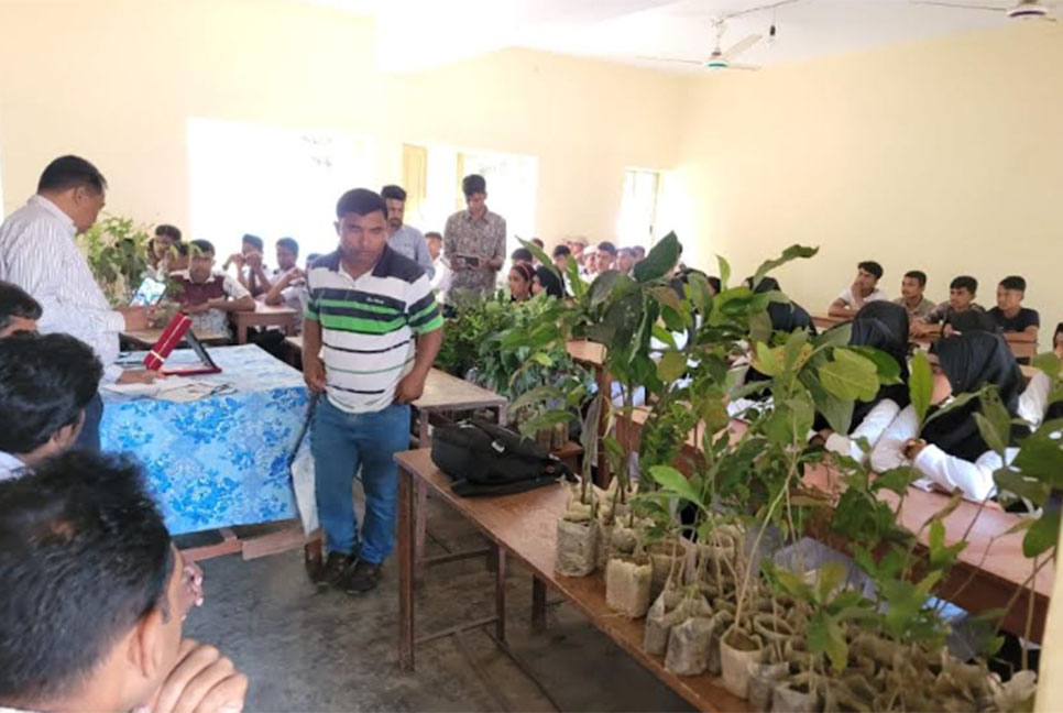 কুমিল্লার গাছে হাসবে প্রবালদ্বীপ সেন্টমার্টিন