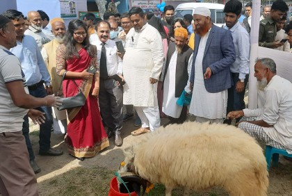 টাঙ্গাইলে দিনব্যাপী প্রাণিসম্পদ প্রদর্শনী