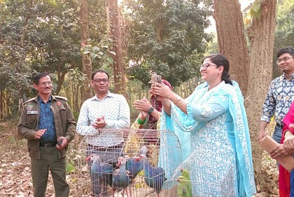 গাজীপুরে পাখি বাজারে অভিযান, উদ্ধার করা বন্যপ্রাণী বনে অবমুক্ত