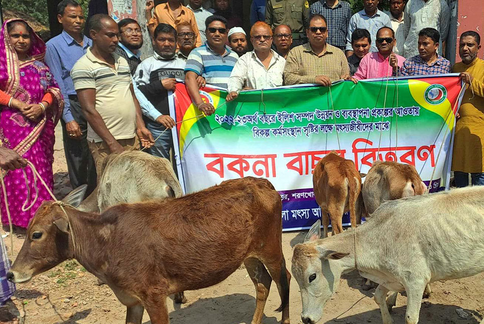 বাগেরহাটে নিবন্ধিত ৩৭ জেলেকে বাছুর প্রদান